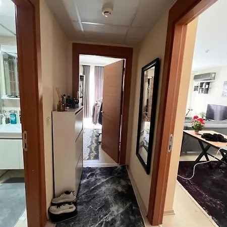 Apartment Luxury 1+1 In *