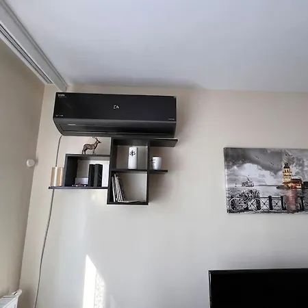 Apartment Luxury 1+1 In